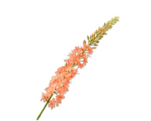 Trendhopper Kunstblume Eremurus orange, ca. 107 cm - Orange - 1